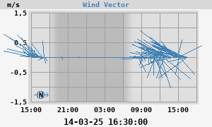 Wind Vector